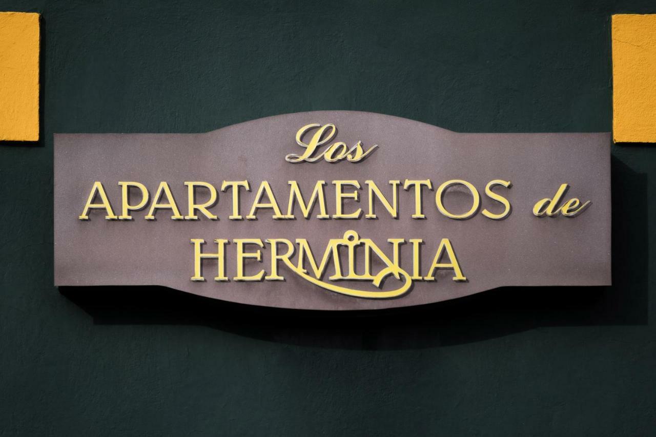 Apartamentos De Herminia Manzaneda  Екстер'єр фото